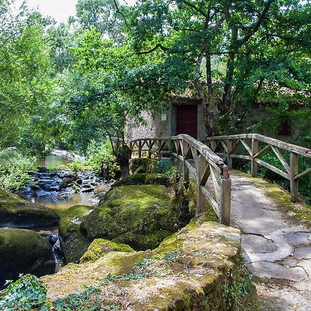 Village De Gites Du Moulin Neuf Getigne Bagian luar foto