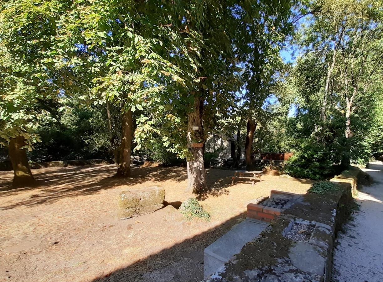 Village De Gites Du Moulin Neuf Getigne Bagian luar foto