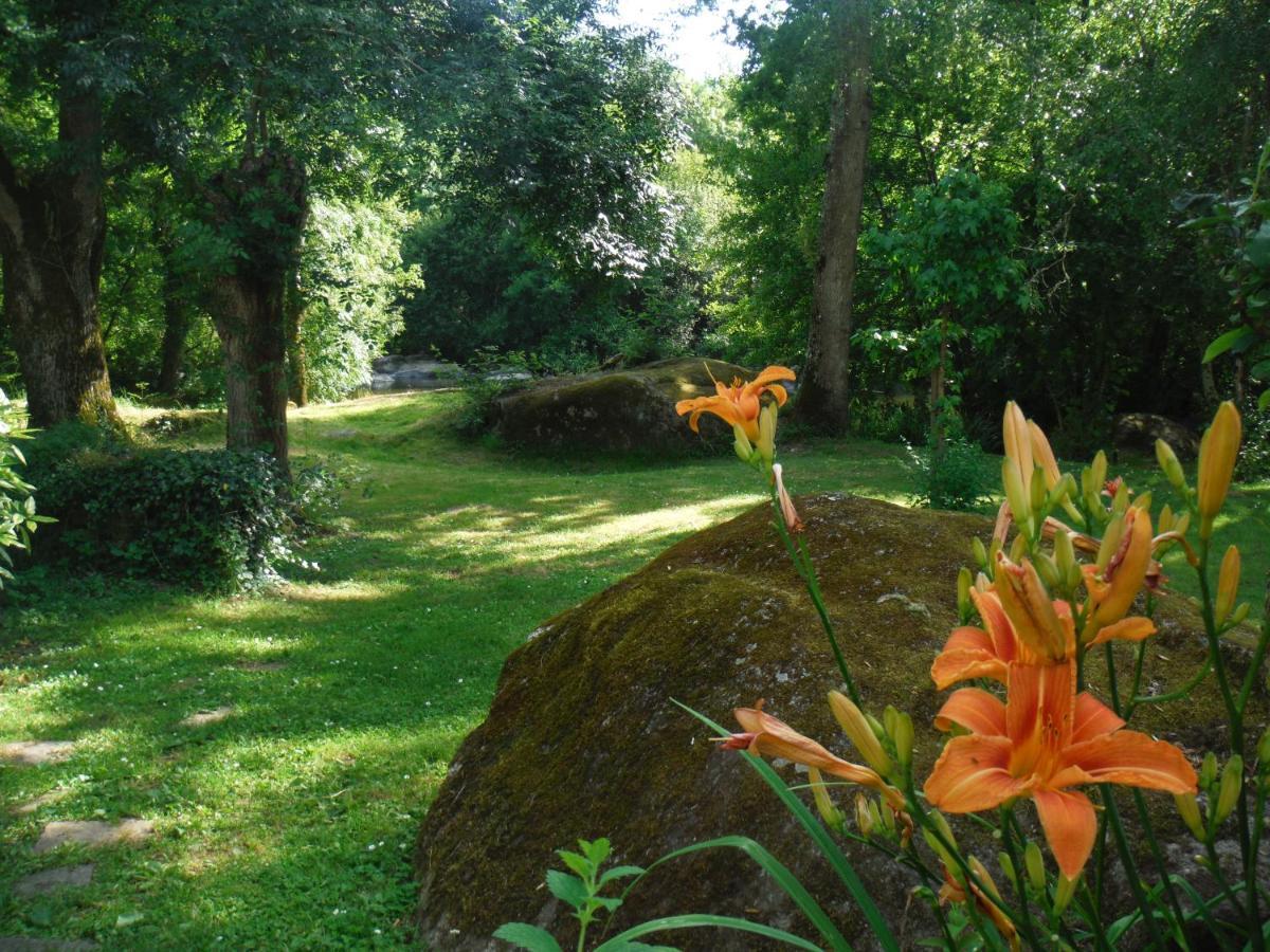 Village De Gites Du Moulin Neuf Getigne Bagian luar foto